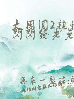 大团圆2亲情会闪闪发光免费