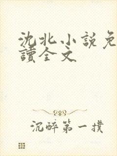 沈北小说免费阅读全文