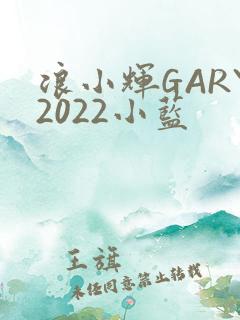 浪小辉GARY2022小蓝