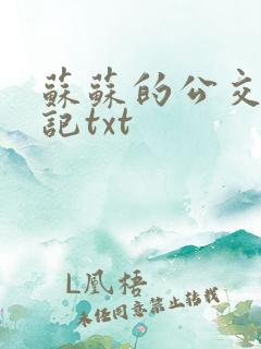 苏苏的公交车日记txt