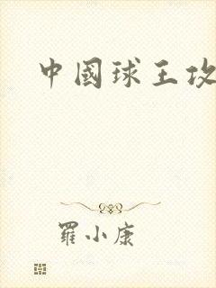 中国球王攻略