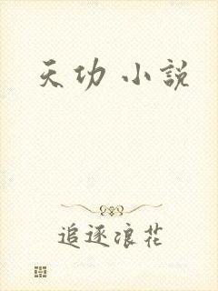 天功 小说
