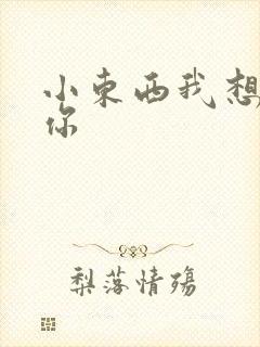 小东西我想弄坏你