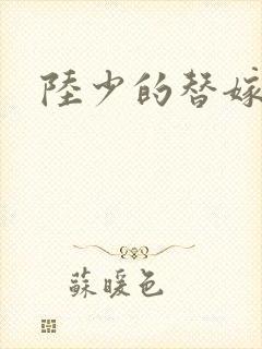 陆少的替嫁宠妻