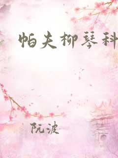 帕夫柳琴科二世