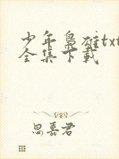 少年枭雄txt全集下载