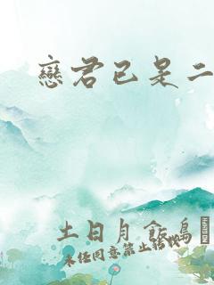 恋君已是二十年