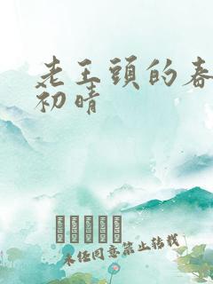 老王头的春天林初晴