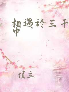 相遇于三千肉文中