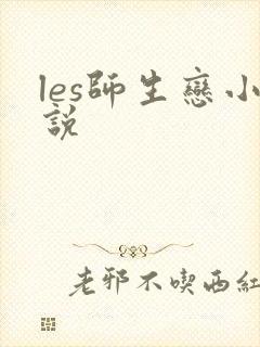 les师生恋小说