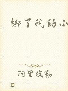 绑了我的小乖乖