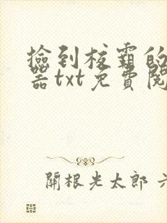 捡到校霸的遥控器txt免费阅读