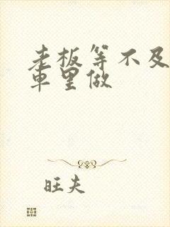 老板等不及了在车里做