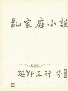 乱家庭小说
