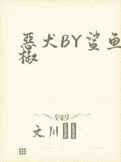 恶犬BY鲨鱼辣椒