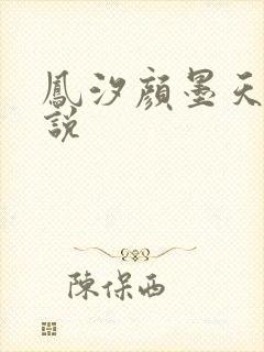 凤汐颜墨天问小说