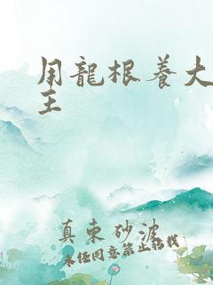 用龙根养大的公主