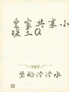 皇家共享小公主暖玉Q