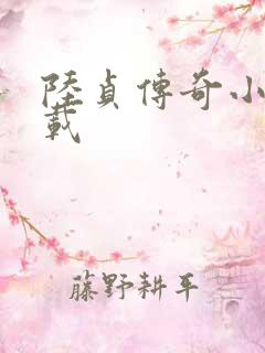 陆贞传奇小说下载