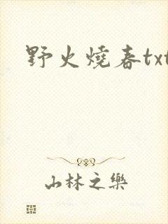 野火烧春txt