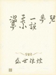 温柔一梦儿媳林梦小说