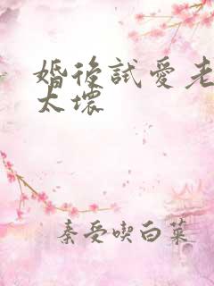 婚后试爱老公别太坏