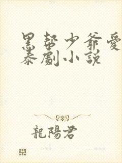 黑帮少爷爱上我泰剧小说