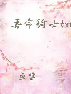 吾命骑士txt