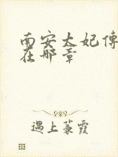 南安太妃传肉肉在哪章