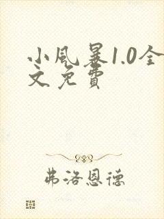 小风暴1.0全文免费