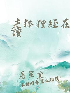 老狐狸经在线阅读