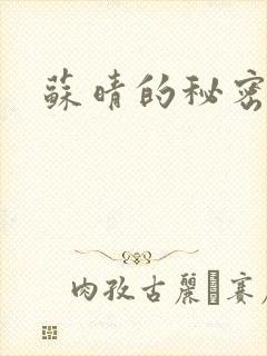 苏晴的秘密小说