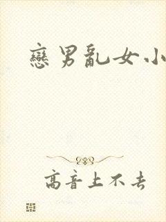 恋男乱女小说