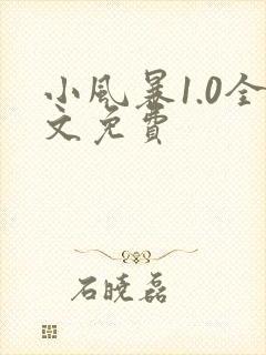 小风暴1.0全文免费