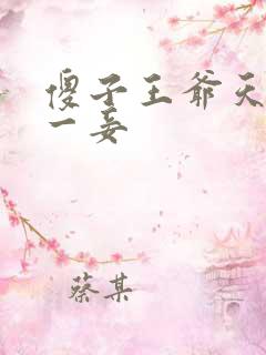 傻子王爷天下第一妾