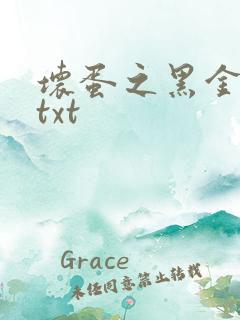 坏蛋之黑金帝国txt