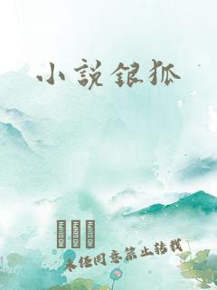 小说银狐