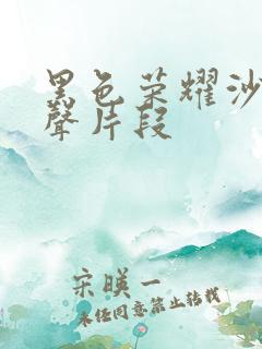 黑色荣耀沙发原声片段