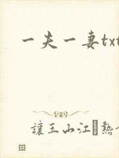 一夫一妻txt