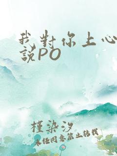 我对你上心了小说PO