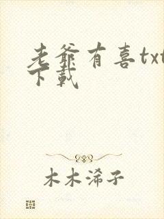 老爷有喜txt下载