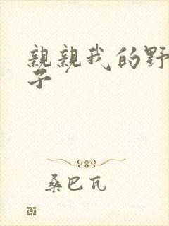 亲亲我的野猪王子