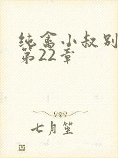 纯禽小叔别太猛第22章