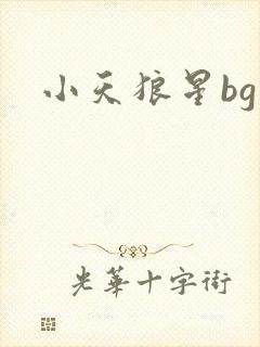 小天狼星bg