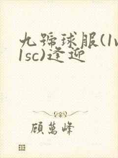 九号球服(1v1sc)逢迎