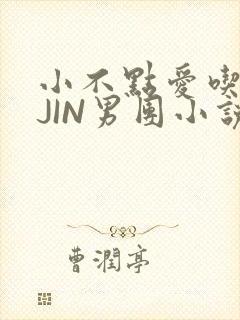 小不点爱吃肉混JIN男团小说
