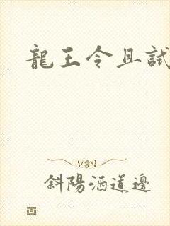 龙王令且试天下