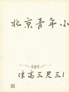 北京青年小说