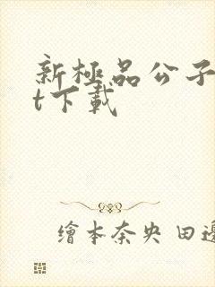 新极品公子txt下载