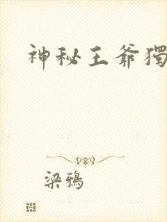 神秘王爷独宠妃